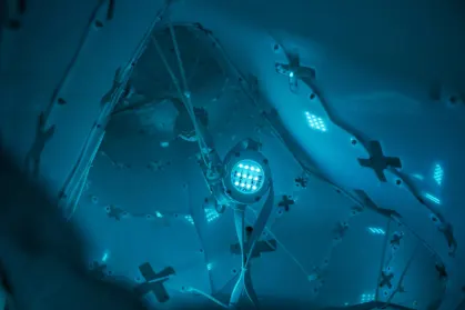 ZodiacBet Casino Mobiilirakendus